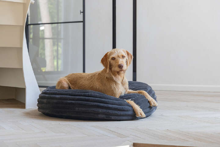 Designed by Lotte Hundekissen Reza Rund